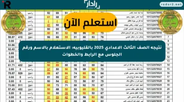 نتيجة الصف الثالث الإعدادي 2025 بالقليوبية: الاستعلام بالاسم ورقم الجلوس مع الرابط والخطوات